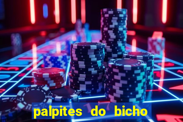 palpites do bicho no celular